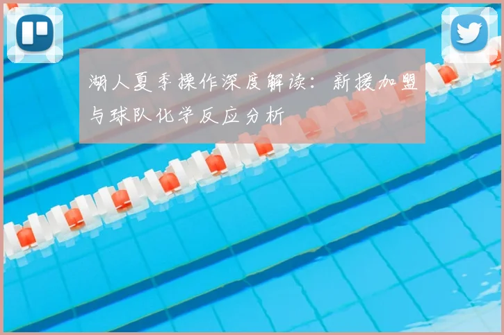湖人夏季操作深度解读：新援加盟与球队化学反应分析