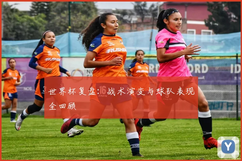 世界杯复盘：战术演变与球队表现全回顾